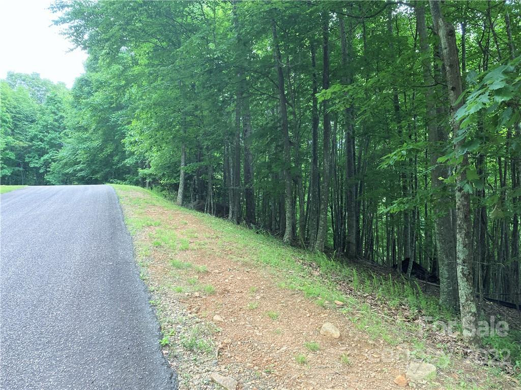 1161 Standing Deer Trace #130 - Photo 9