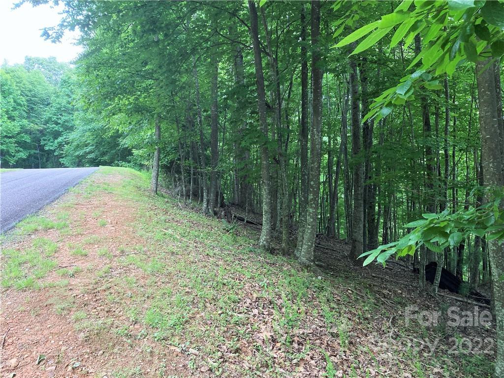 1161 Standing Deer Trace #130 - Photo 10