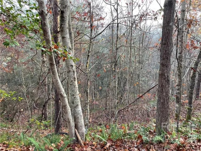 Lot 43 Kimiko Lane, Balsam Grove, NC, 28708