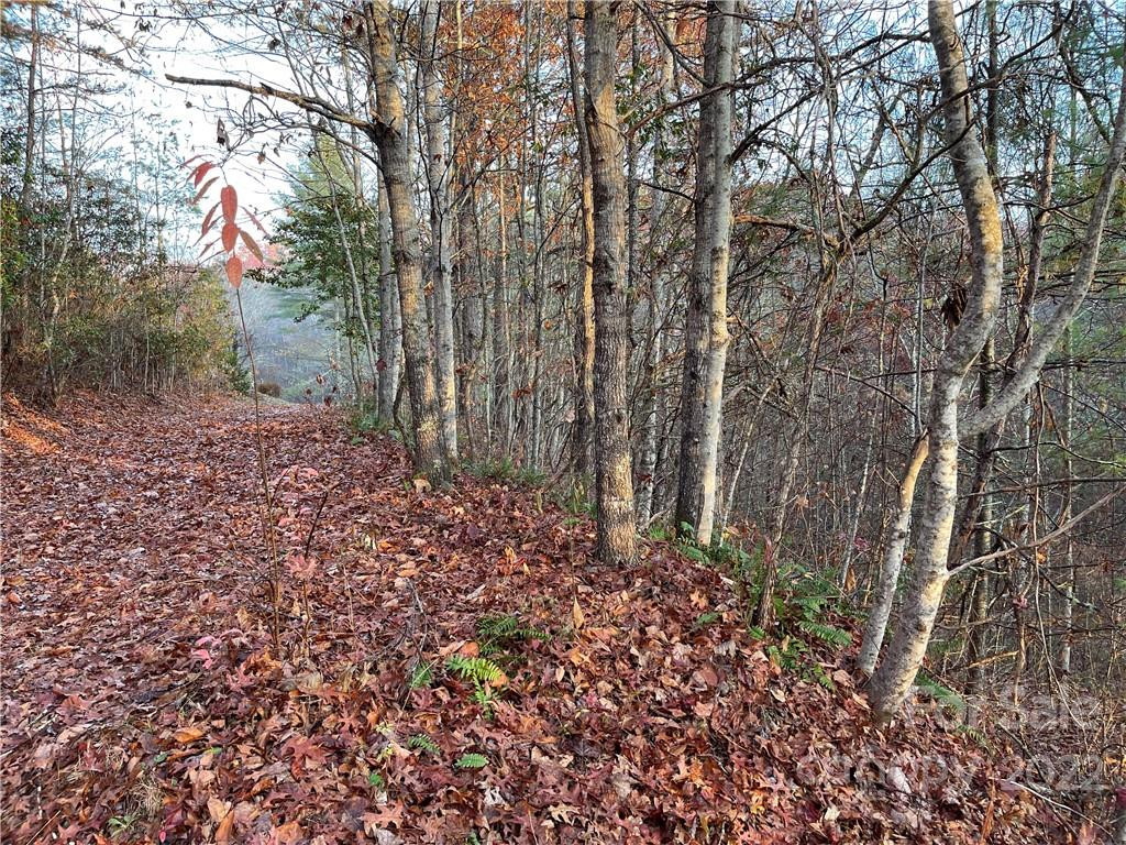 Lot 43 Kimiko Lane - Photo 2