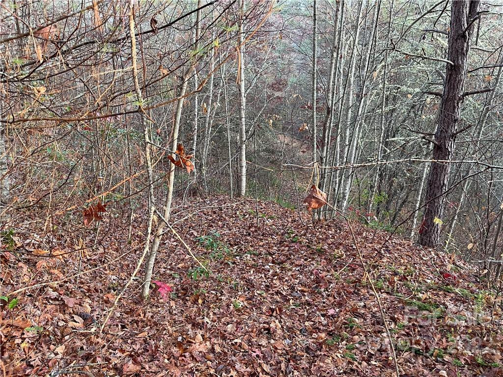 Lot 43 Kimiko Lane - Photo 3