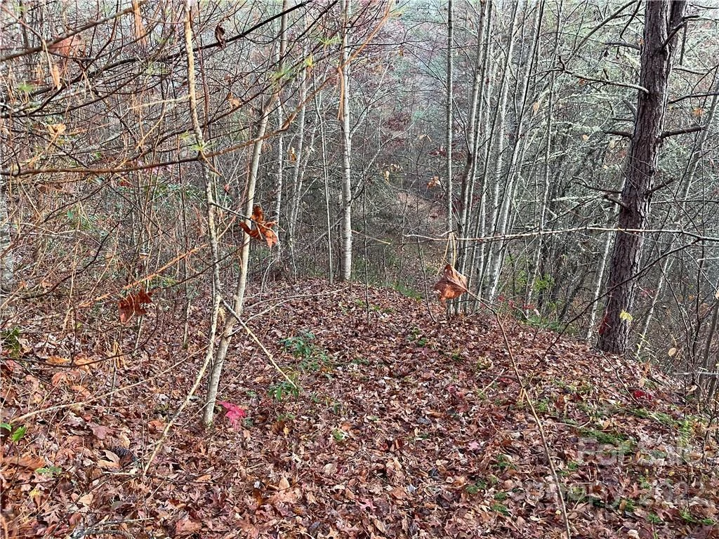 Lot 43 Kimiko Lane - Photo 3