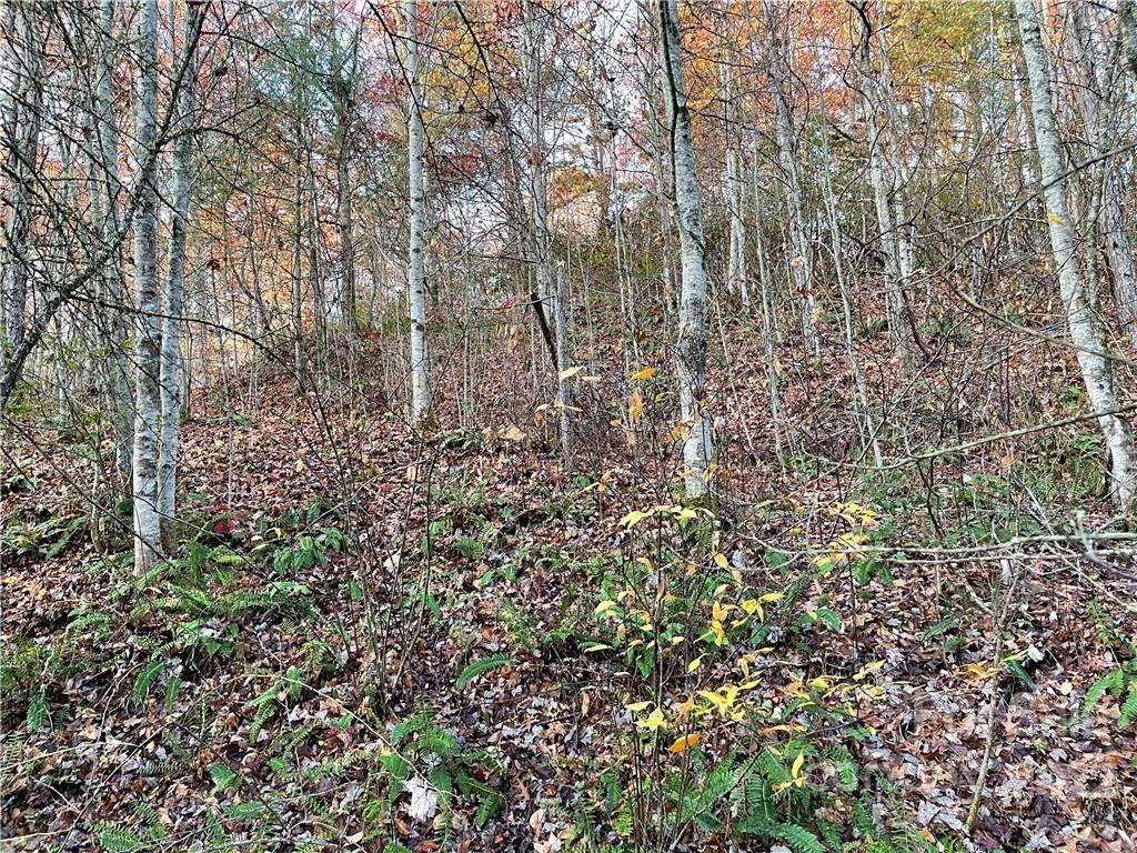 Lot 43 Kimiko Lane - Photo 4