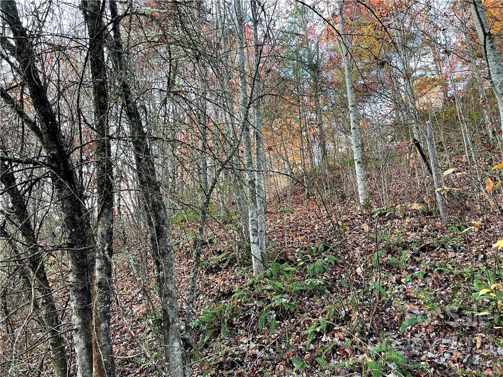 Lot 43 Kimiko Lane - Photo 5