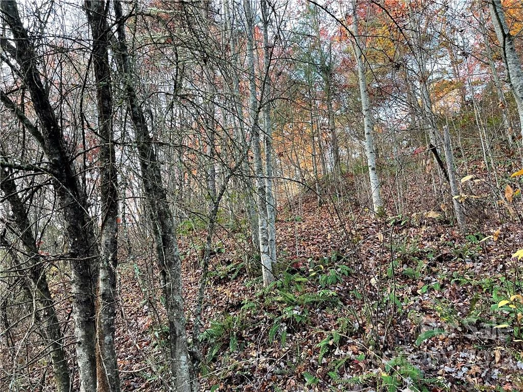 Lot 43 Kimiko Lane - Photo 5
