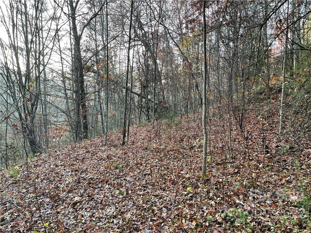 Lot 43 Kimiko Lane - Photo 6