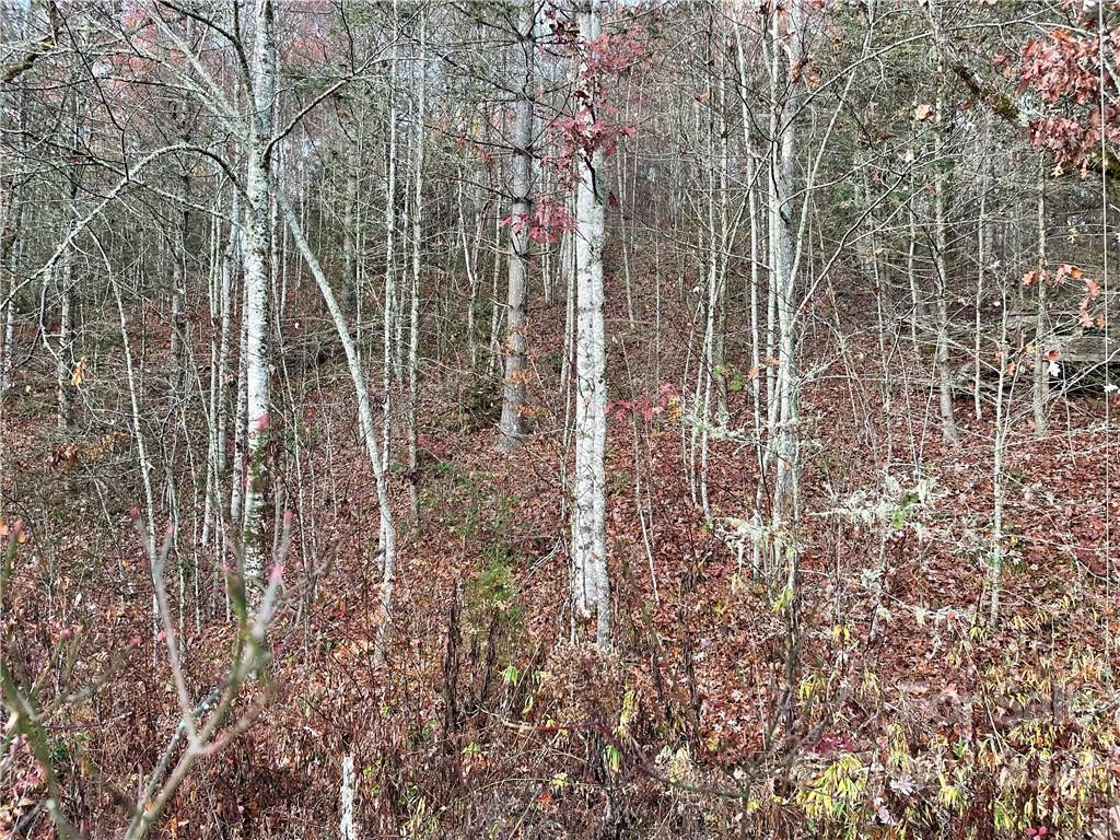 Lot 43 Kimiko Lane - Photo 7