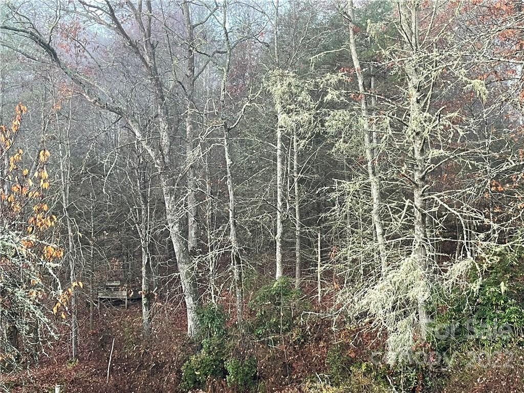 Lot 43 Kimiko Lane - Photo 8