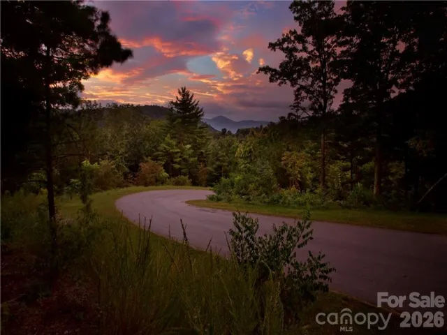 187 Starling Pass None, Asheville, NC, 28804