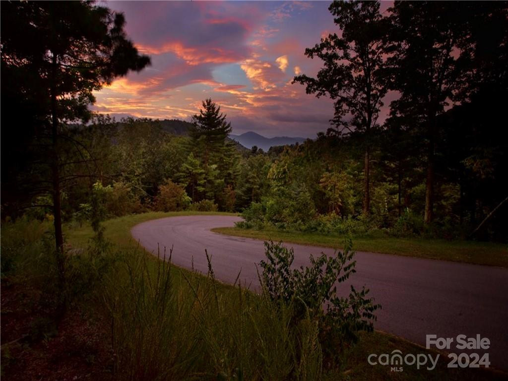 187 Starling Pass None #102 - Photo 2