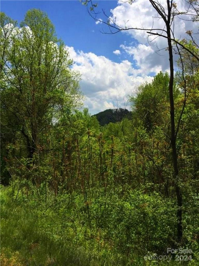 187 Starling Pass None #102 - Photo 6