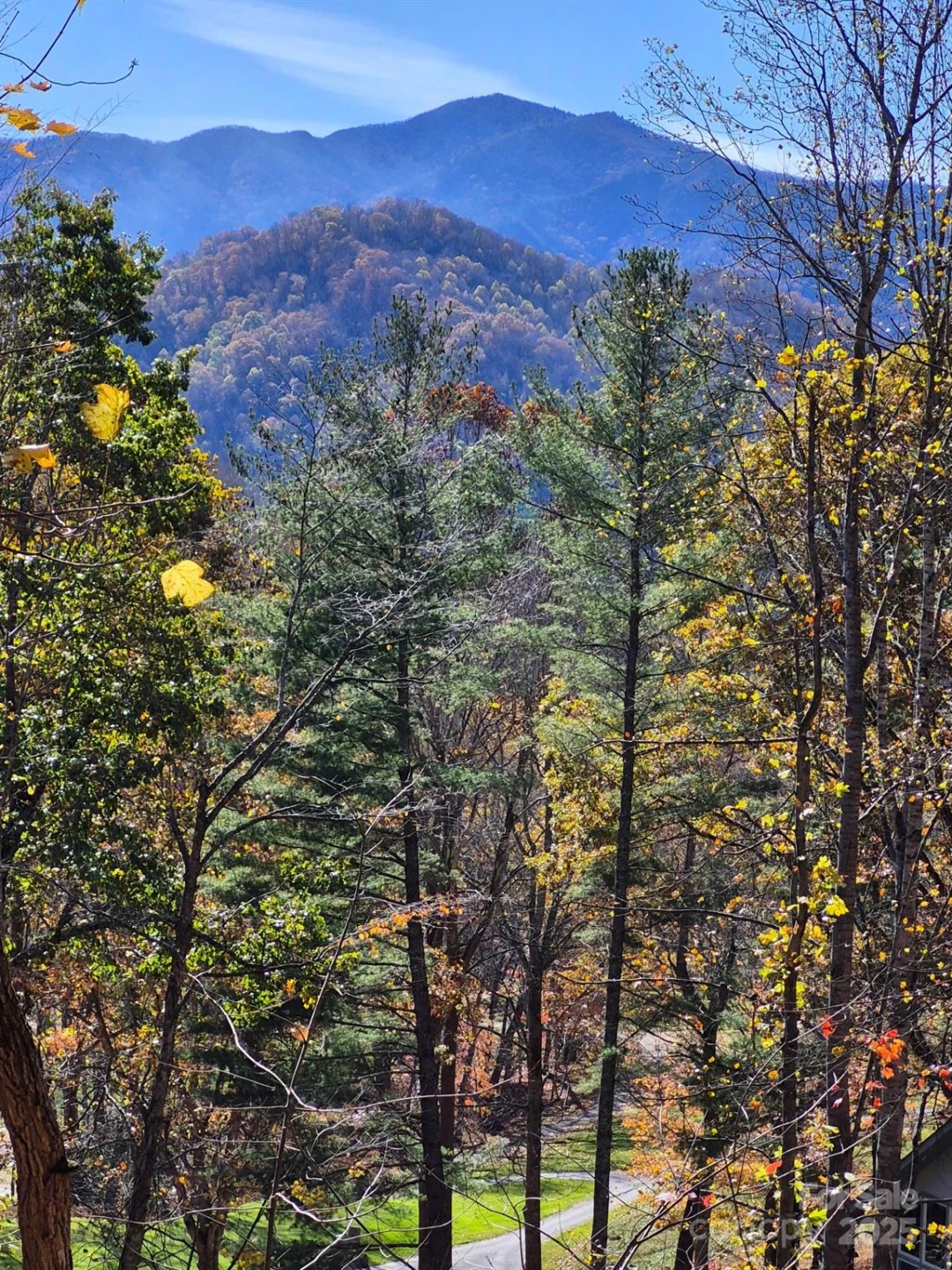 0 Alpine Ridge #D-11 - Photo 2