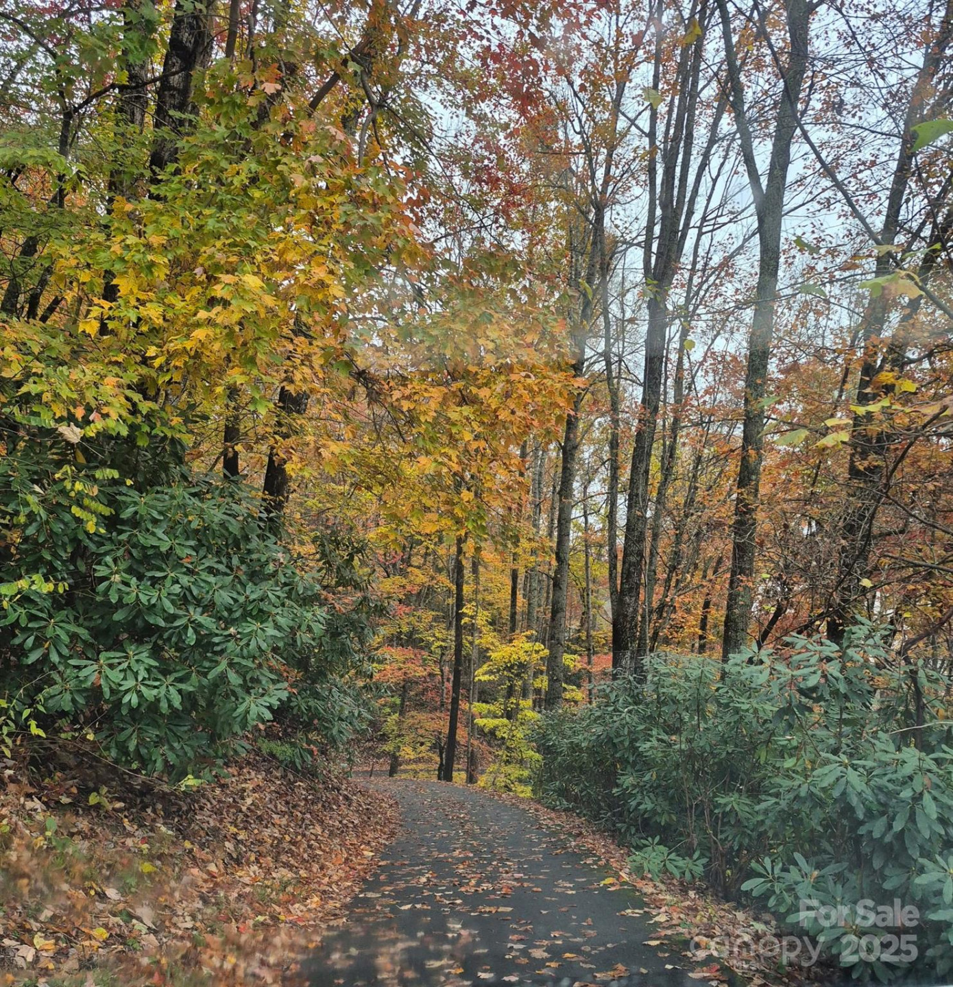 0 Alpine Ridge #D-11 - Photo 11