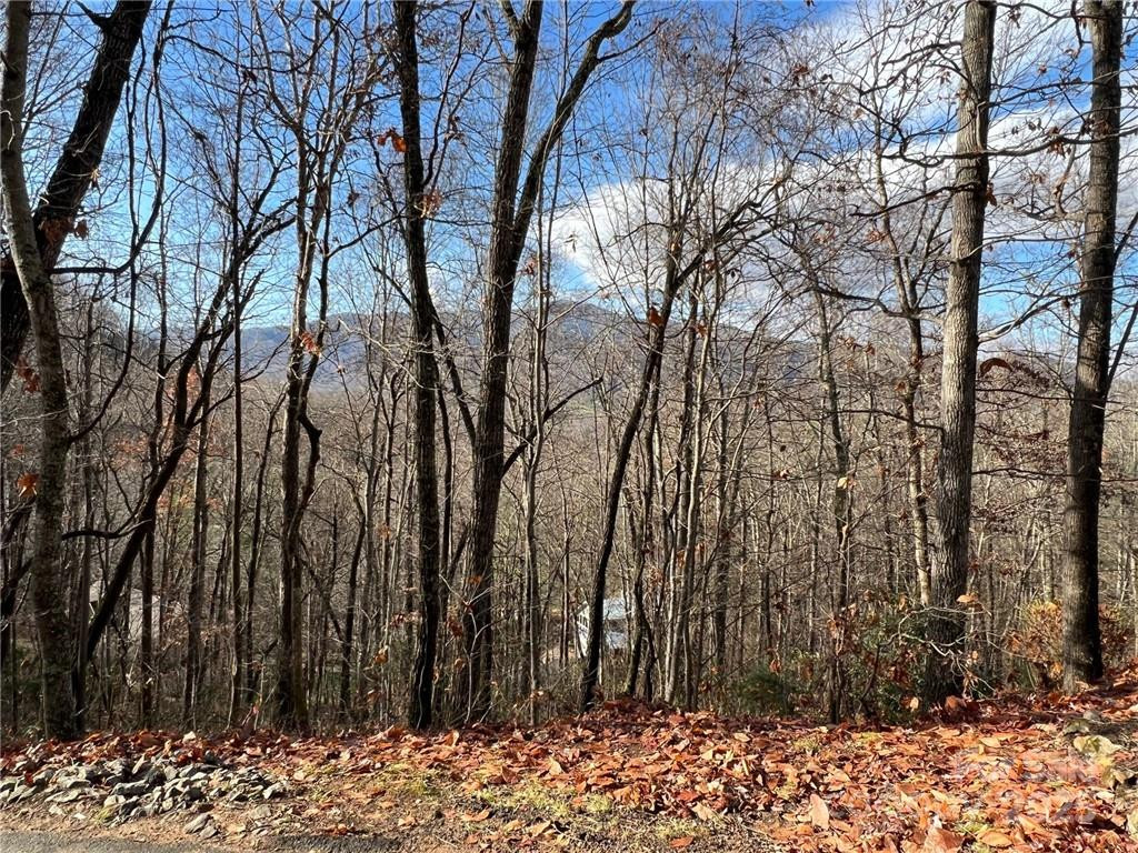 0 Alpine Ridge #D-11 - Photo 5