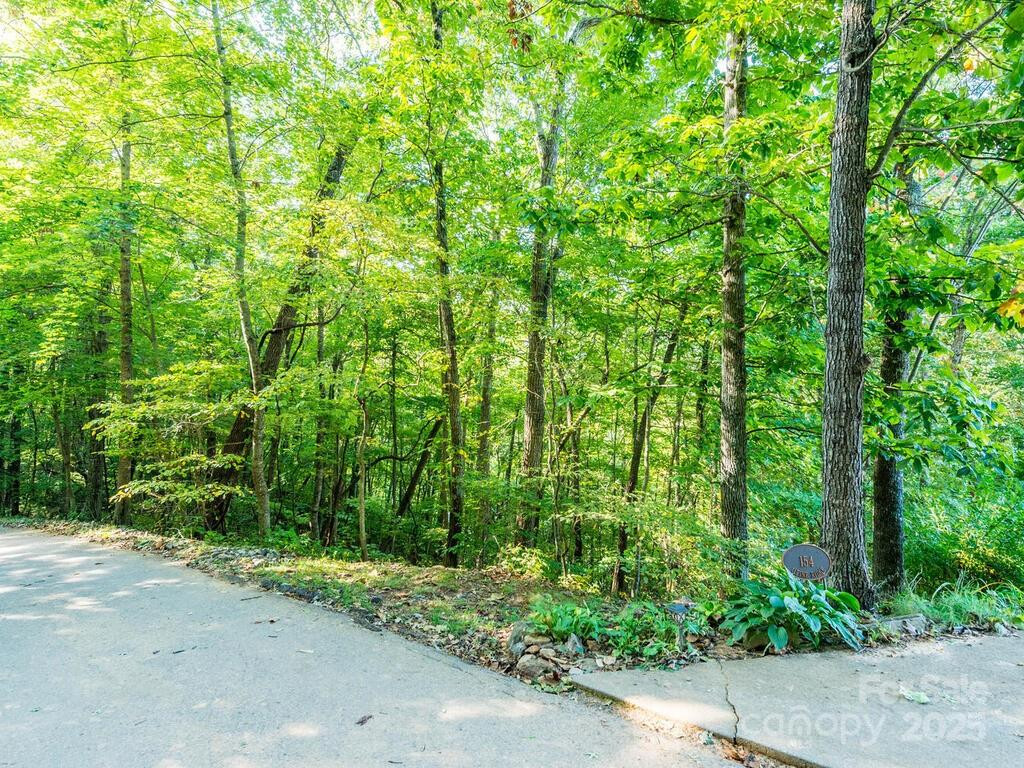 0 Alpine Ridge #D-11 - Photo 6