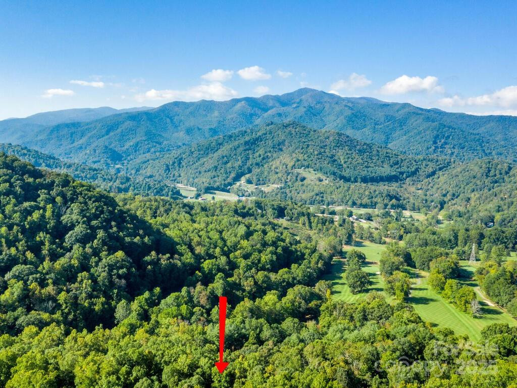 0 Alpine Ridge #D-11 - Photo 8