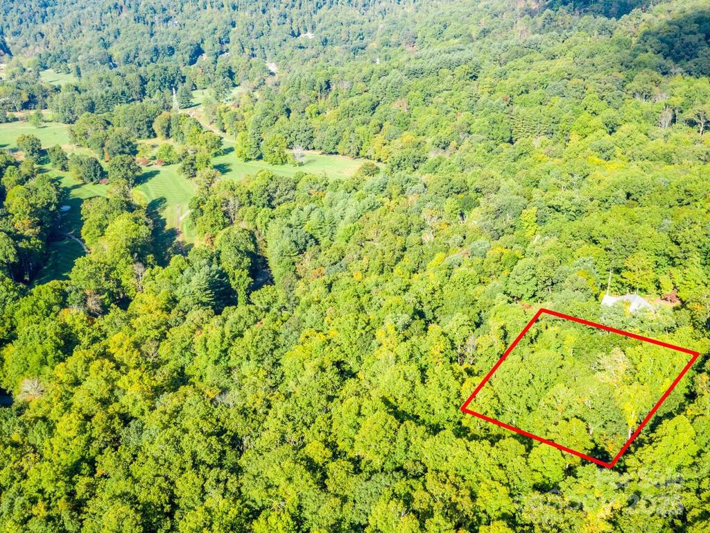 0 Alpine Ridge #D-11 - Photo 9