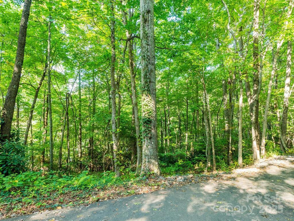 0 Alpine Ridge #D-11 - Photo 10