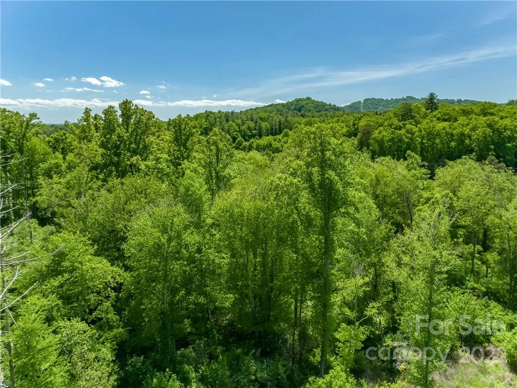 99999 Merrills Cove Road #1 & 3 - Photo 41