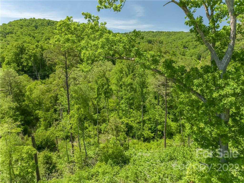 99999 Merrills Cove Road #1 & 3 - Photo 42