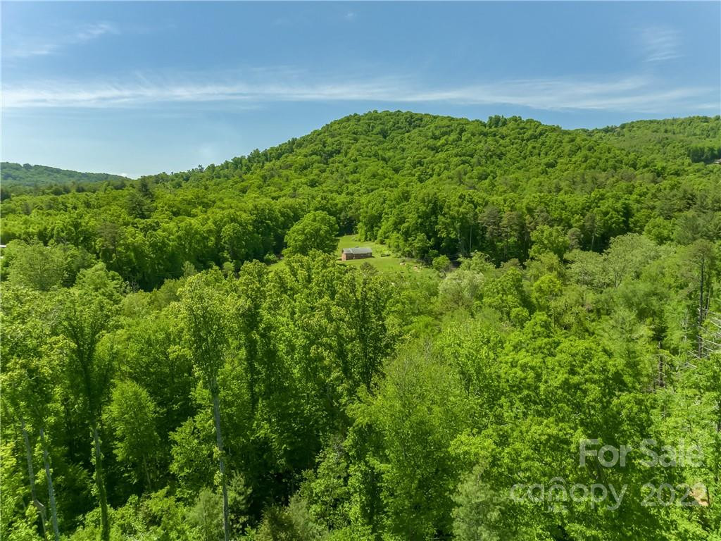 99999 Merrills Cove Road #1 & 3 - Photo 43