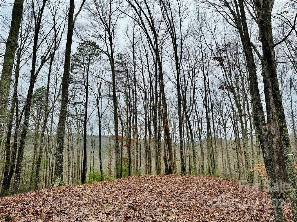 921 Wild River Run #33