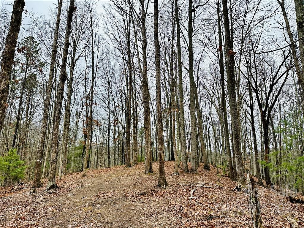 921 Wild River Run #33 - Photo 2