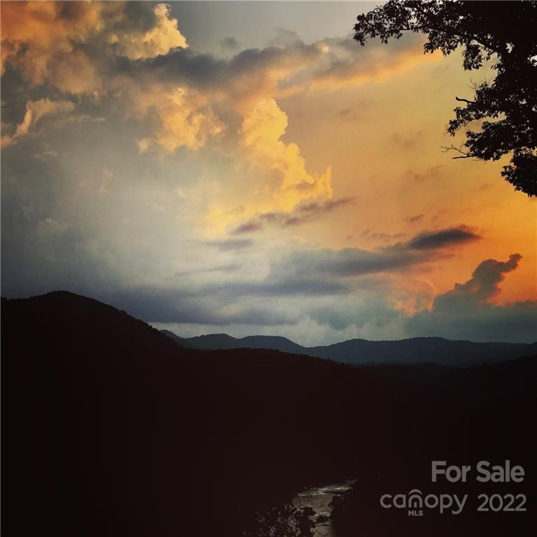 921 Wild River Run #33 - Photo 14