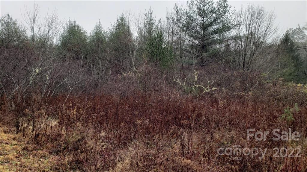 000 Greenville Highway - Photo 2
