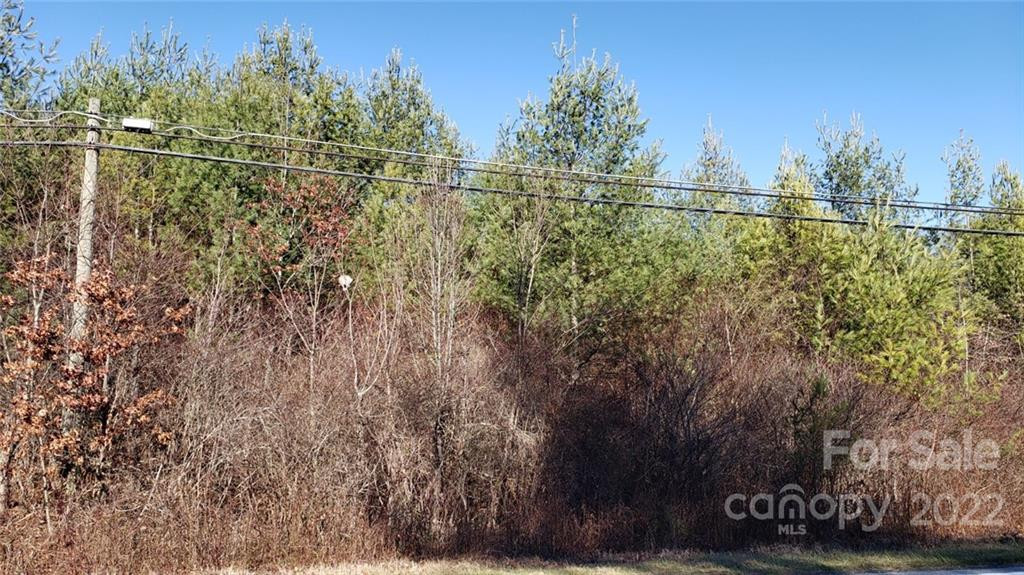 000 Greenville Highway - Photo 11