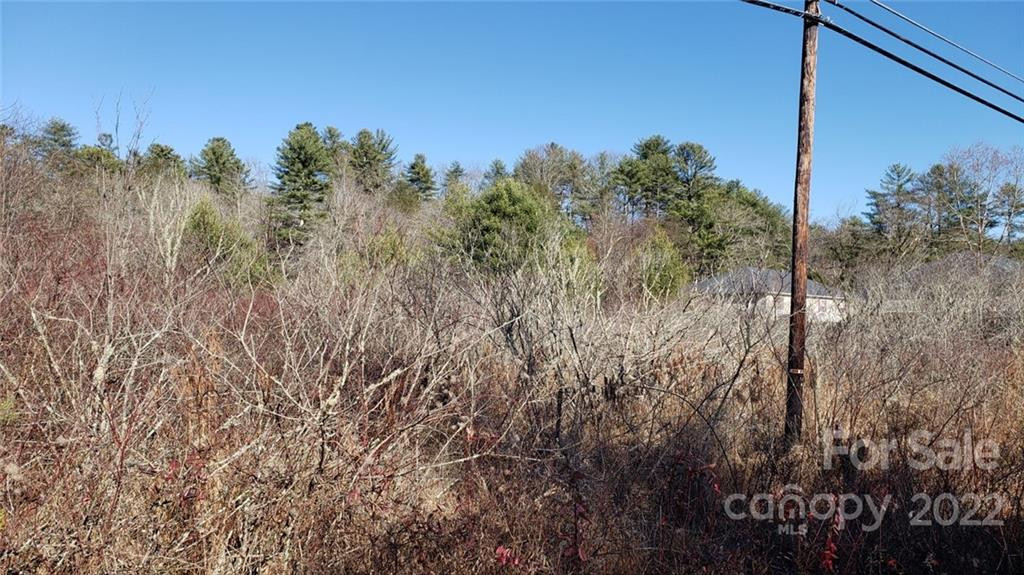 000 Greenville Highway - Photo 12