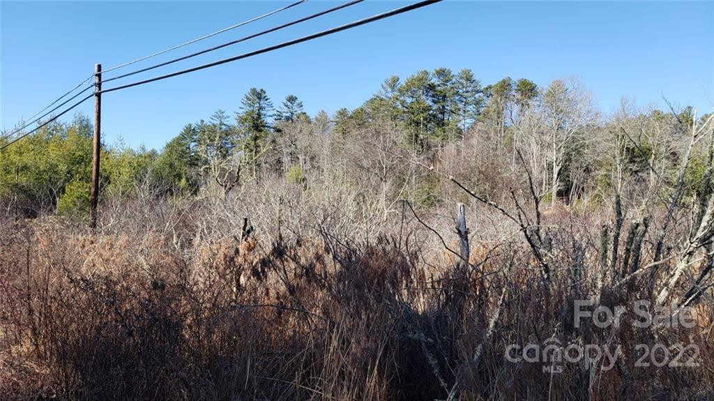 000 Greenville Highway - Photo 14