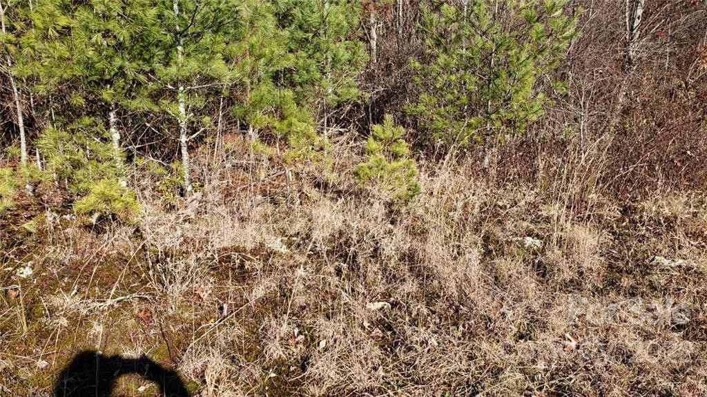 000 Greenville Highway - Photo 15