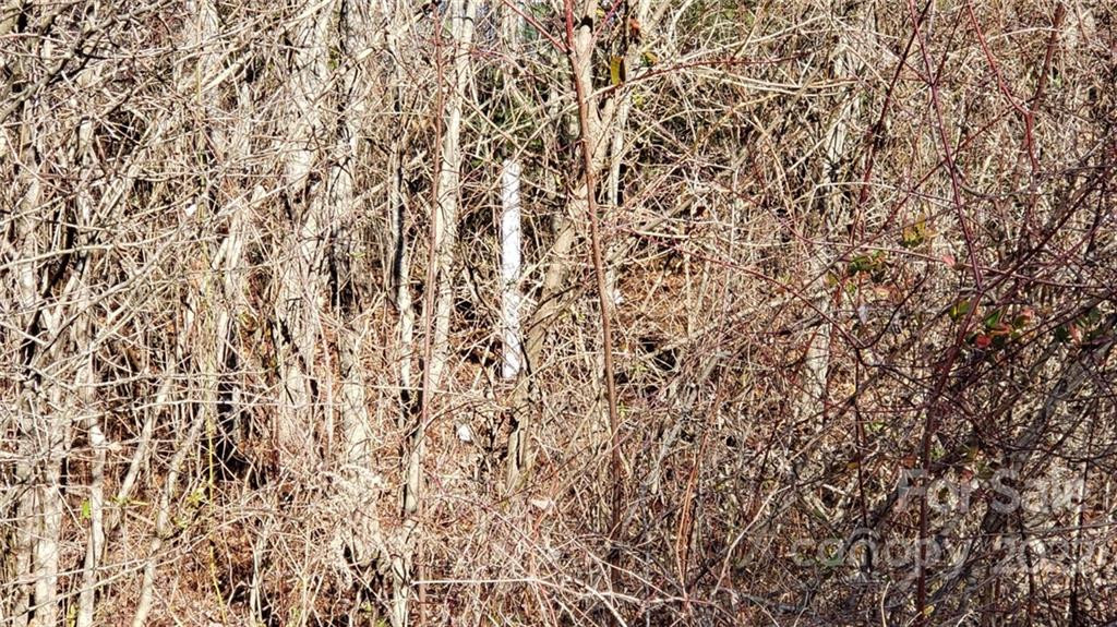 000 Greenville Highway - Photo 16