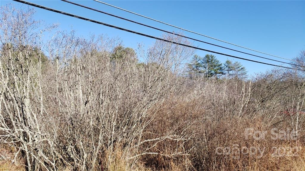 000 Greenville Highway - Photo 17