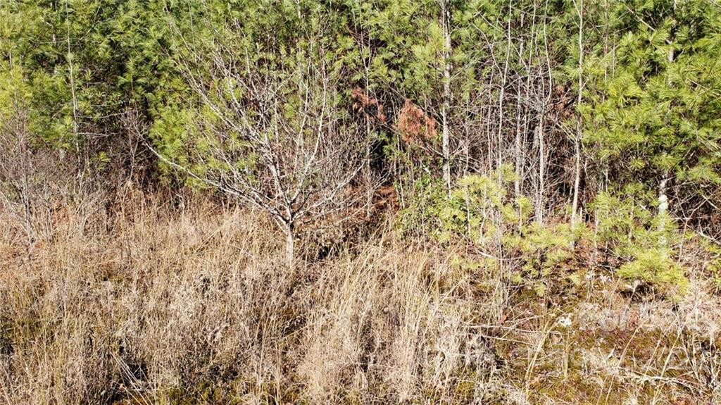 000 Greenville Highway - Photo 18