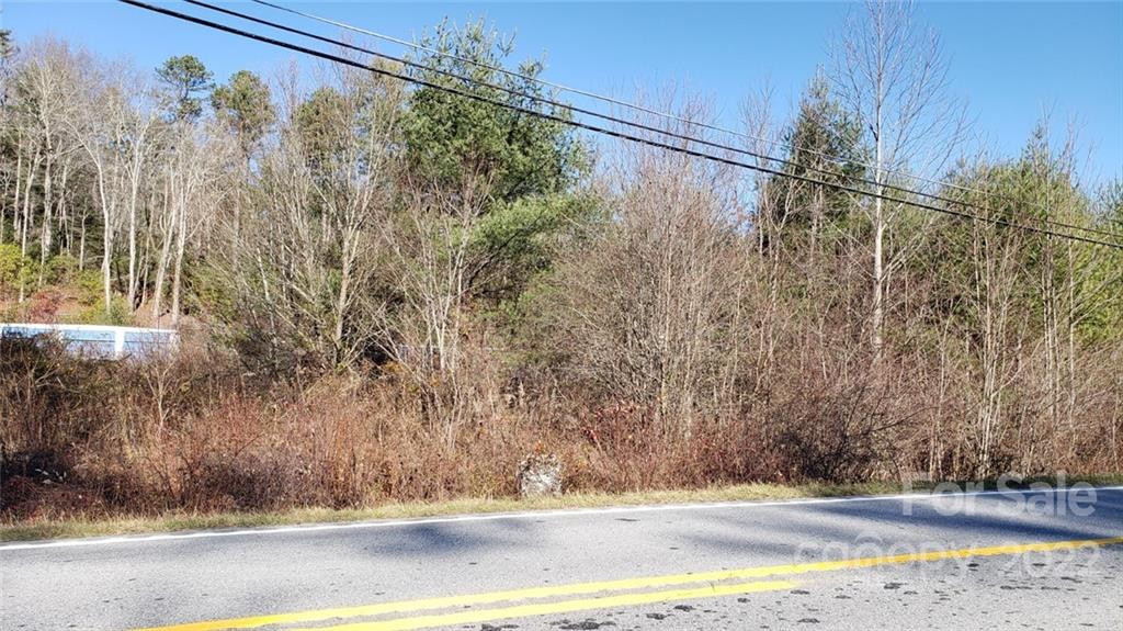 000 Greenville Highway - Photo 3