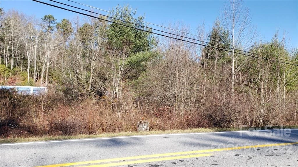 000 Greenville Highway - Photo 3