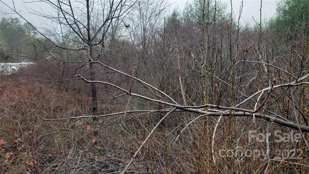 000 Greenville Highway - Photo 4