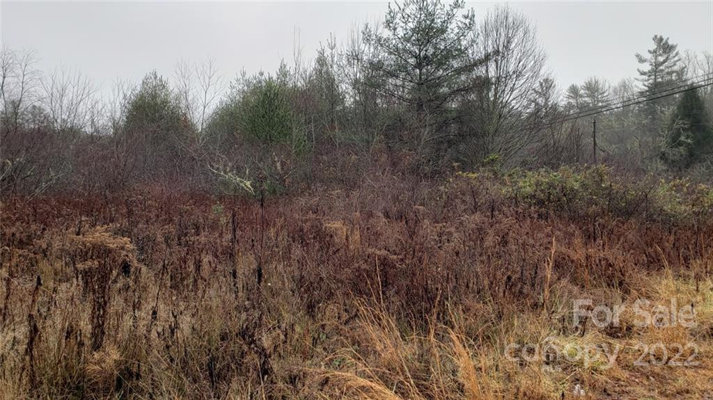 000 Greenville Highway - Photo 5