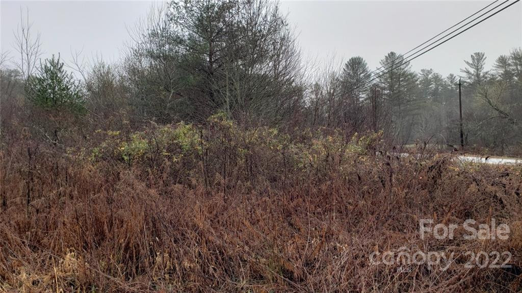 000 Greenville Highway - Photo 7