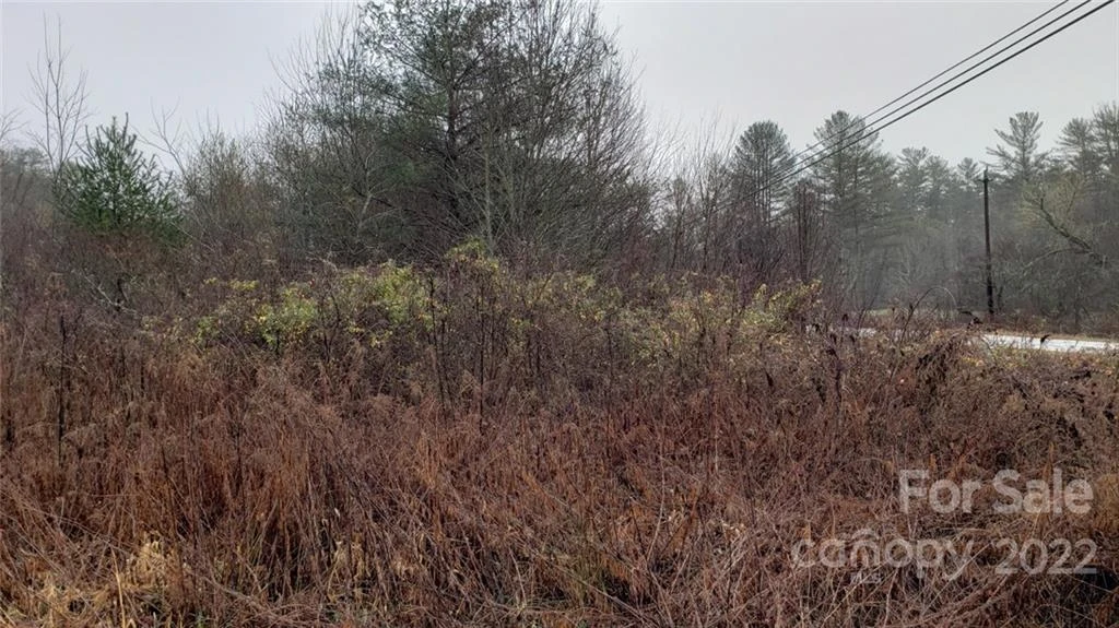 000 Greenville Highway - Photo 7