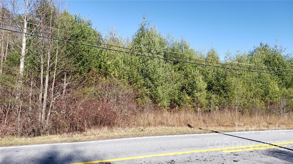 000 Greenville Highway - Photo 8