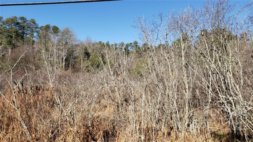 000 Greenville Highway - Photo 9