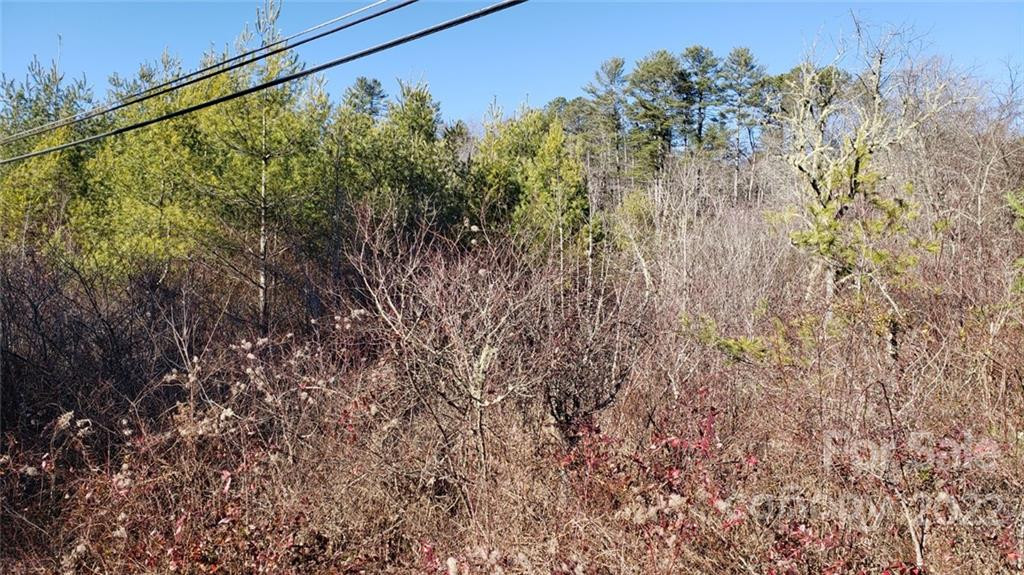 000 Greenville Highway - Photo 10