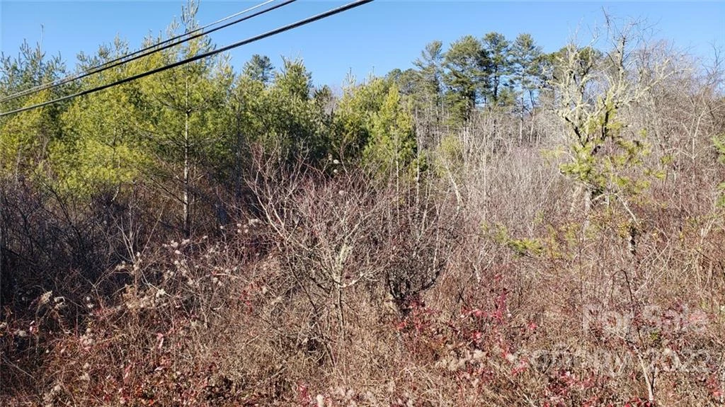 000 Greenville Highway - Photo 10