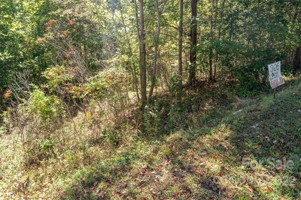 00 Rock Ledge Drive #305