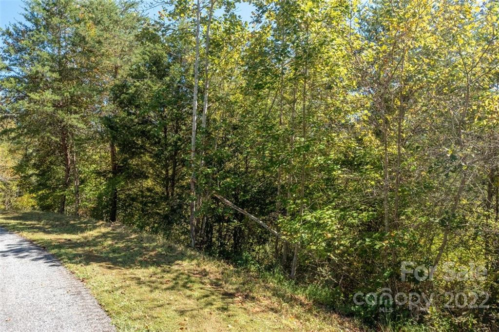 00 Rock Ledge Drive #305 - Photo 2