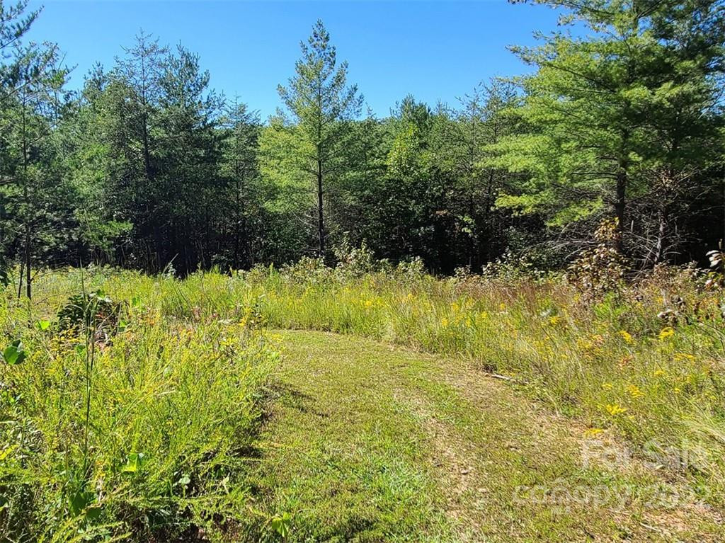 00 Rock Ledge Drive #305 - Photo 28