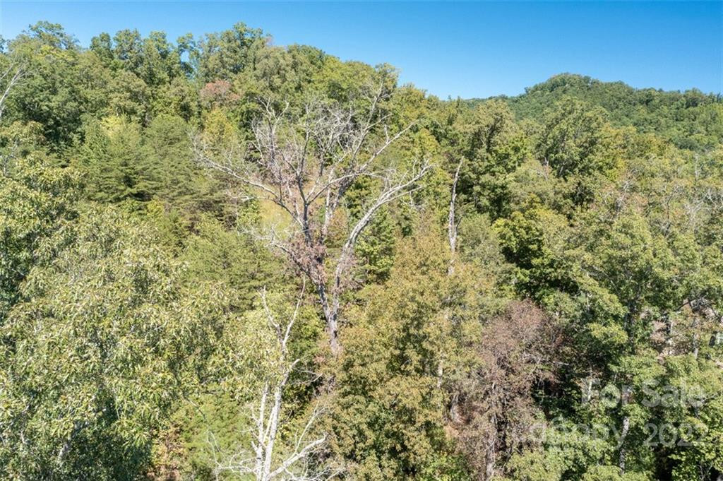 00 Rock Ledge Drive #305 - Photo 31